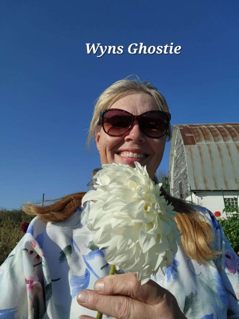 Wyn's Ghostie - Image 4