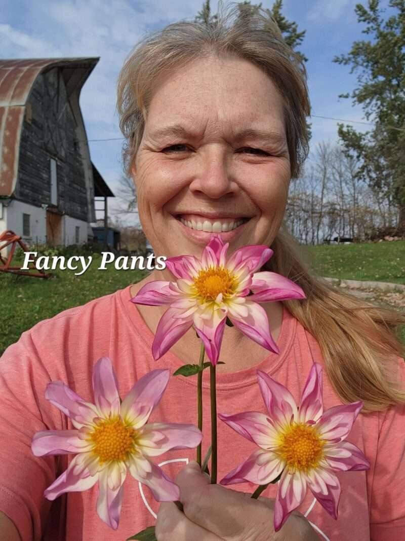 Fancy Pants - Image 3